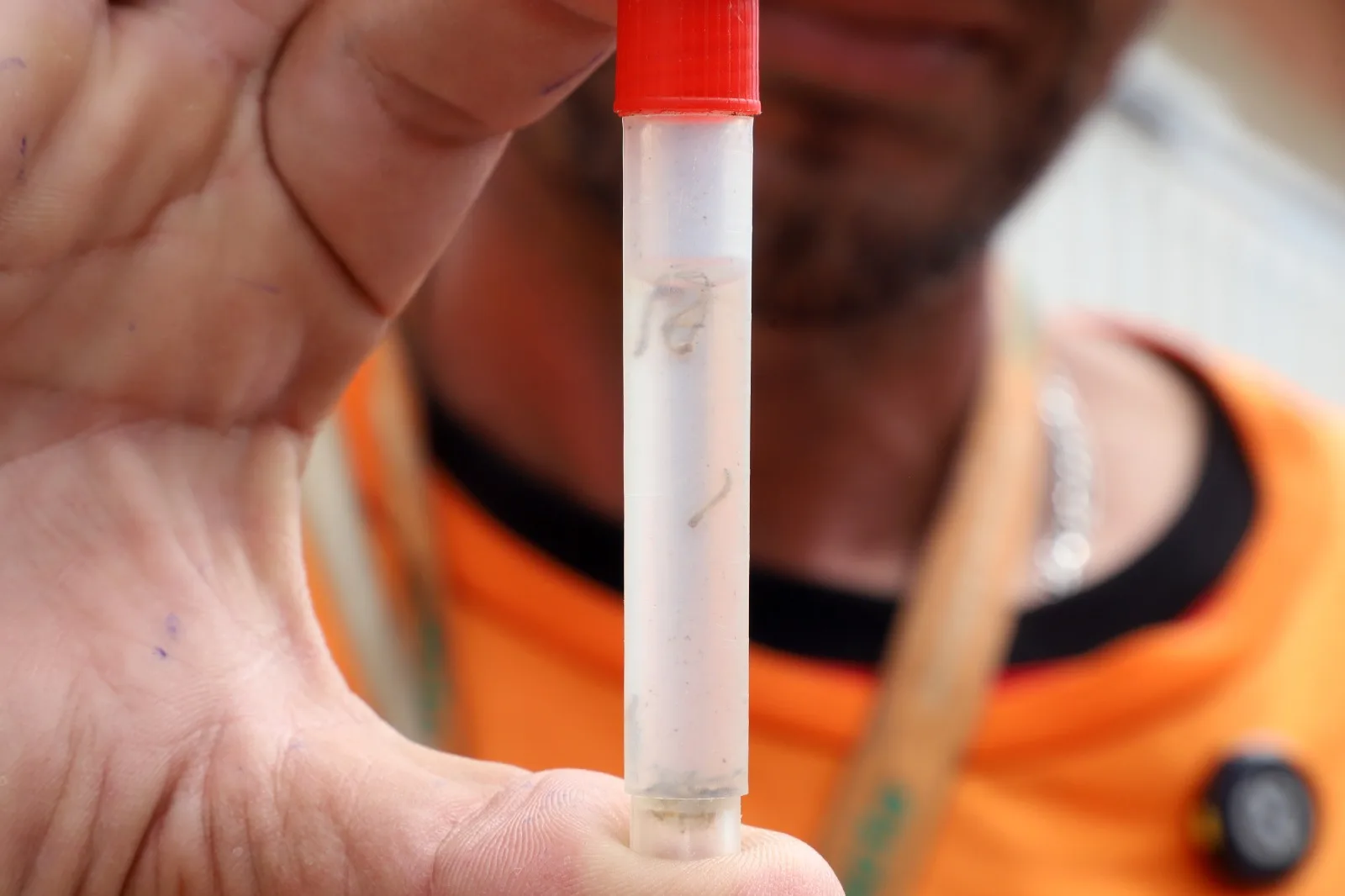 Campinas registrou 32 bairros com maior risco para dengue na última semana