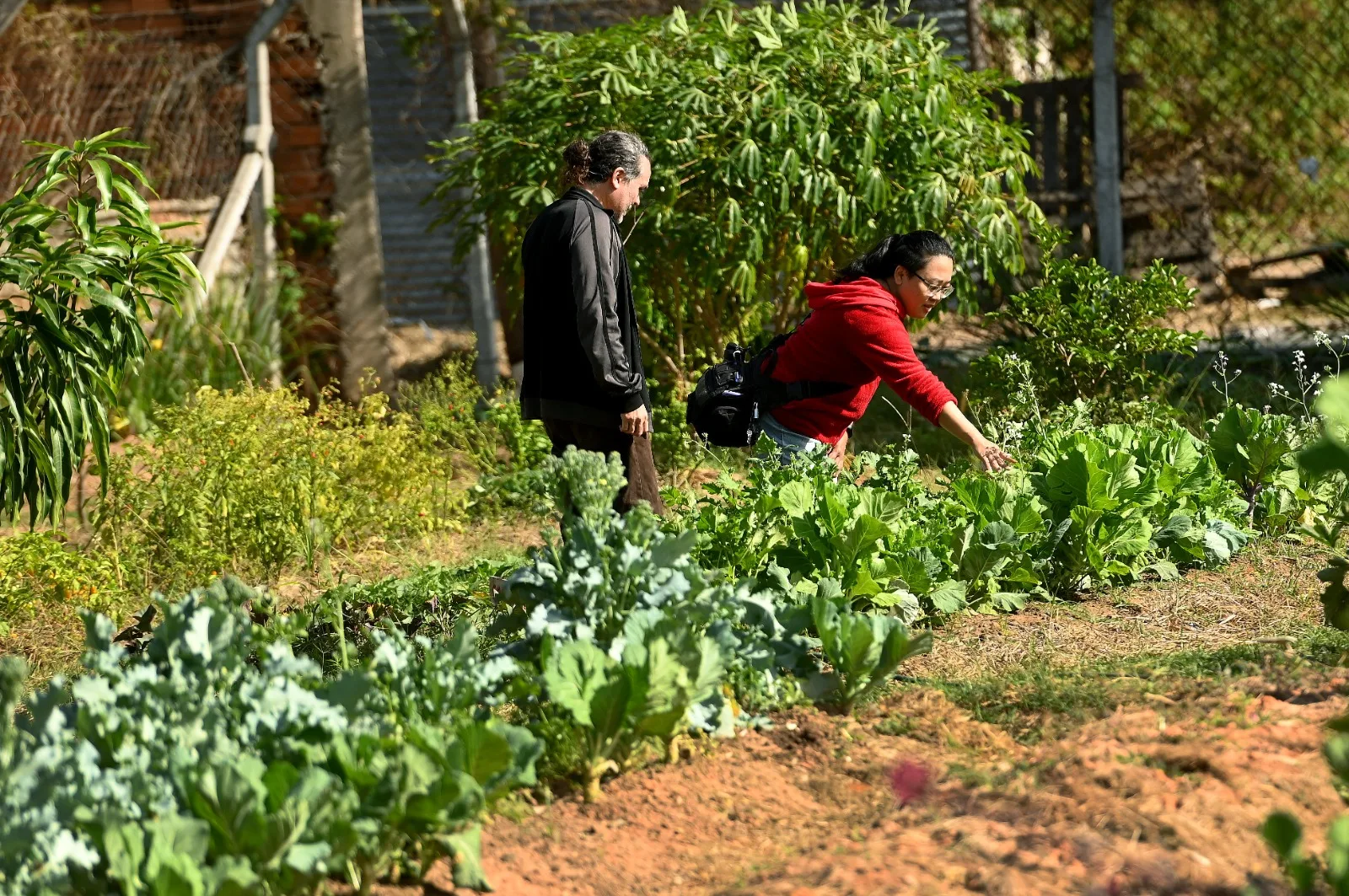 O workshop é promovido pela Secretaria Municipal de Desenvolvimento e Assistência Social, por meio do Departamento de Segurança Alimentar e Nutricional  Carlos Bassan / Arquivo PMC
