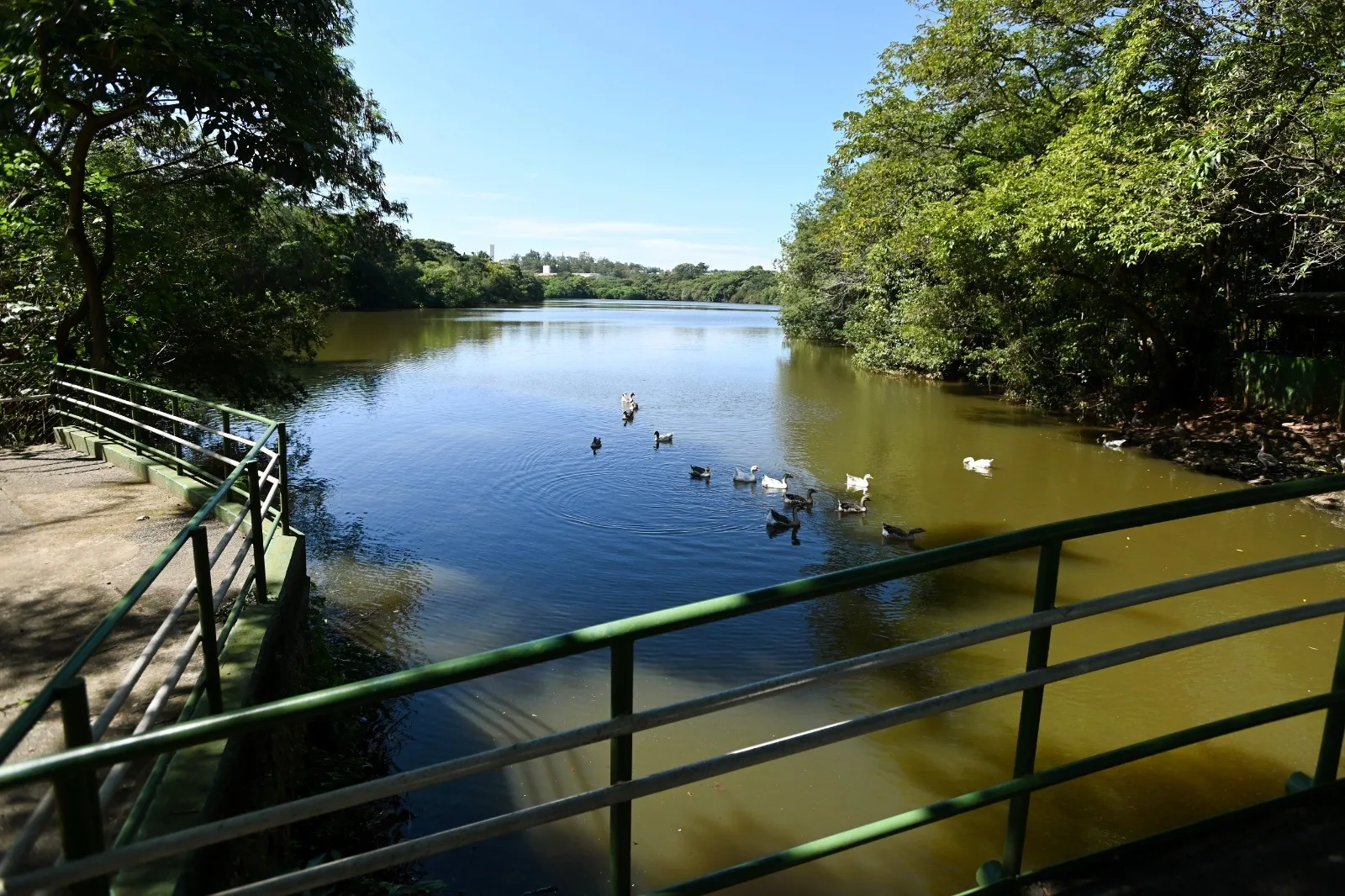 Parque Ecológico Hermógenes de Freitas Leitão Filho , em Barão Geraldo: após redução no acumulado de chuvas, todos os parques e bosques de Campinas foram abertos (foto: Carlos Bassan)