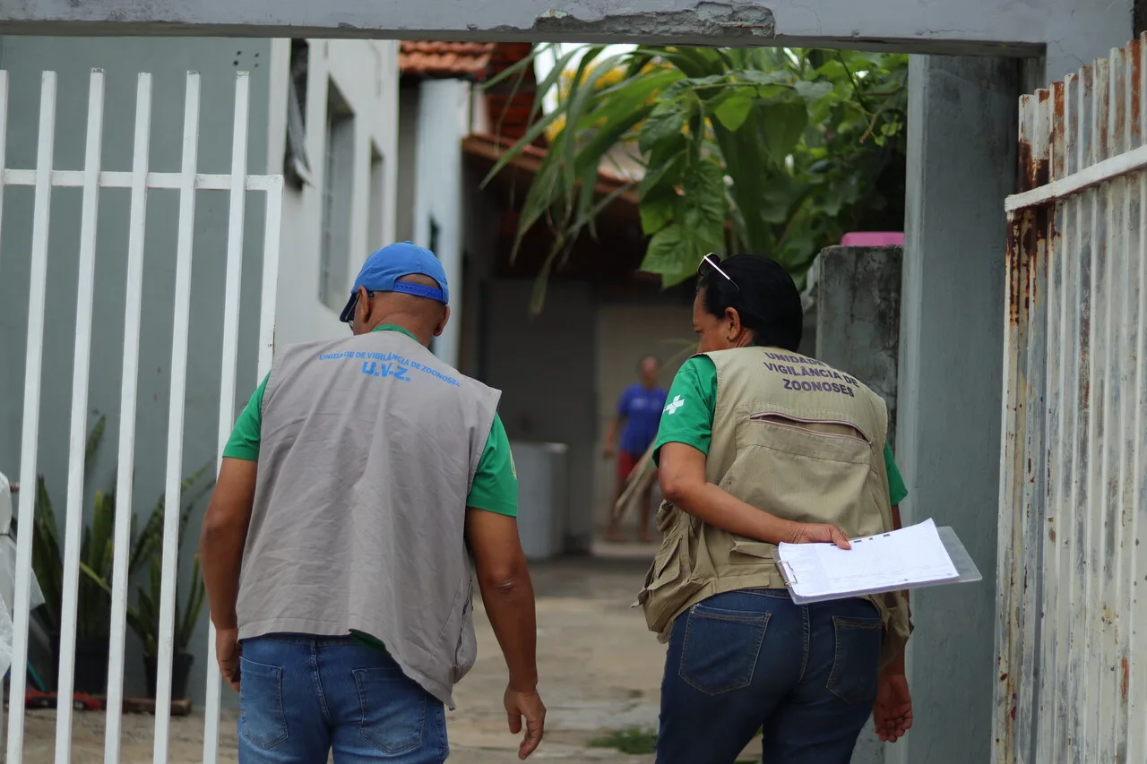 26.10.2026  AEDES AEGYPTI    Hortolândia registra índice de larvas de Aedes aegypti de 2.9, considerado médio