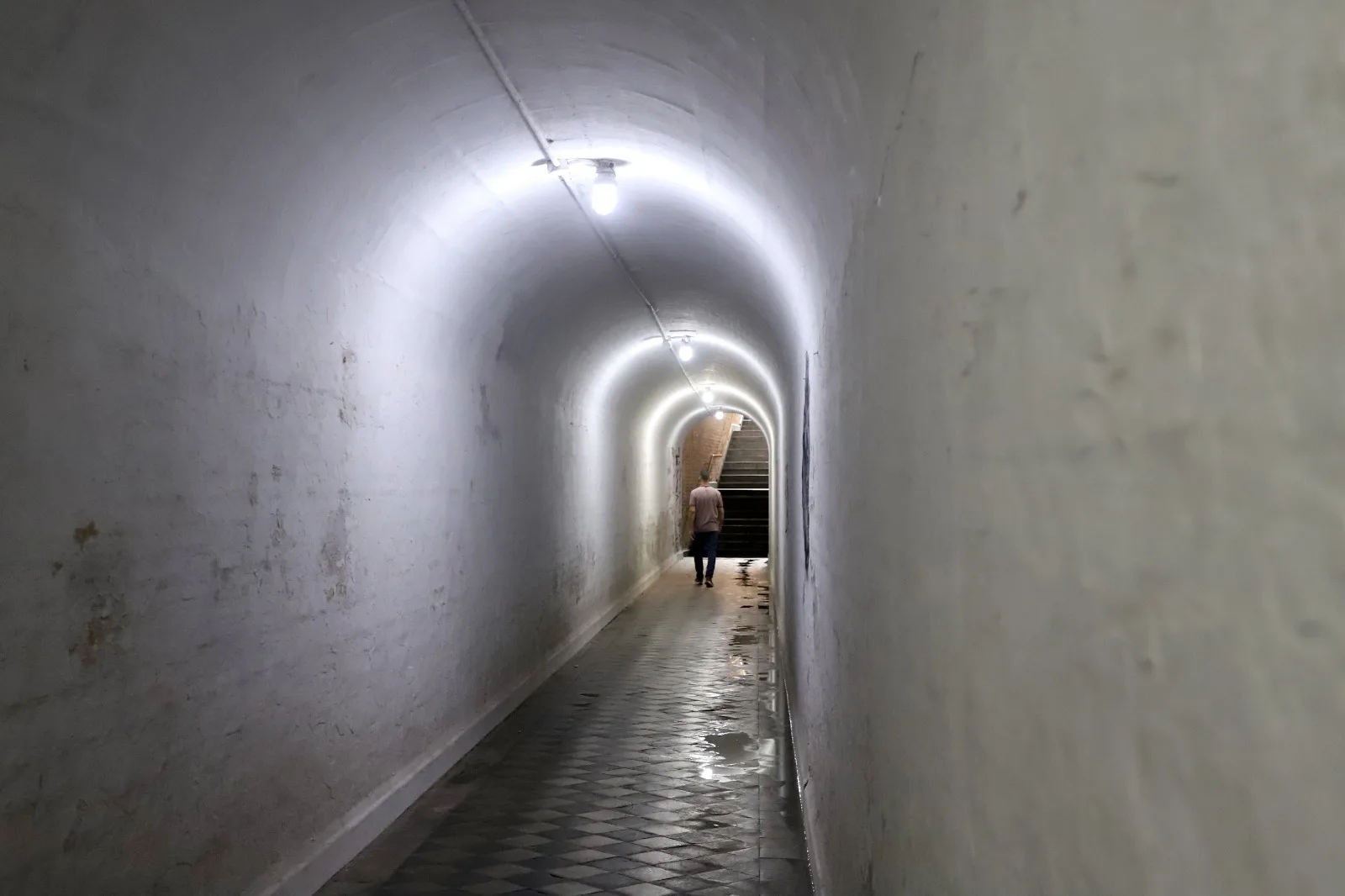 Um tour pelo túnel mal-assombrado integra a programação, que inclui, ainda, concurso de fantasia, pintura, gastronomia e exposições Crédito: Fernanda Sunega