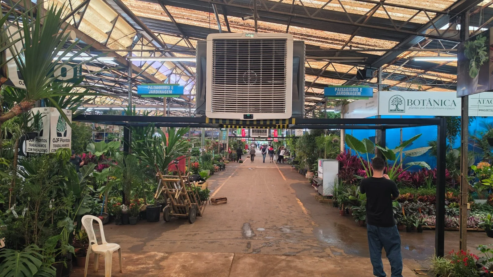 Equipamento ajuda na conservação de plantas comercializadas no espaço e aumenta conforto para visitantes e trabalhadores (Foto: Divulgação)