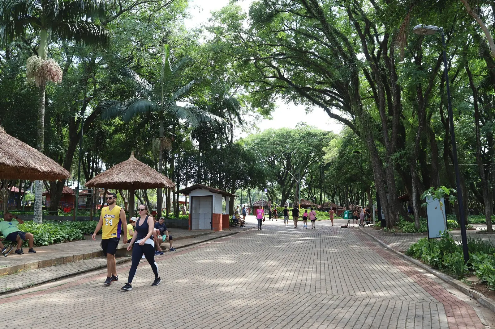 Após redução no acumulado de chuvas, todos os parques de Campinas estão abertos nesta quarta-feira, 28. Na foto, a Lagoa do Taquaral (foto: Fernanda Sunega/Arquivo)