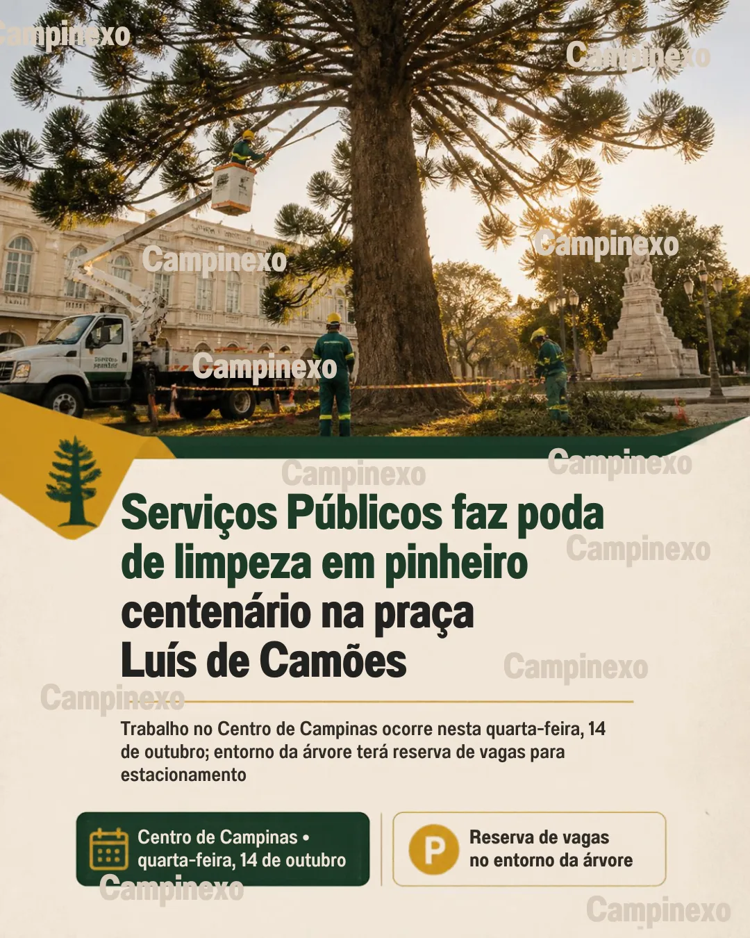 Imagem criada pela equipe editorial do Campinexo. Autoria própria e autorizada para publicação no portal Campinexo e em suas divulgações.