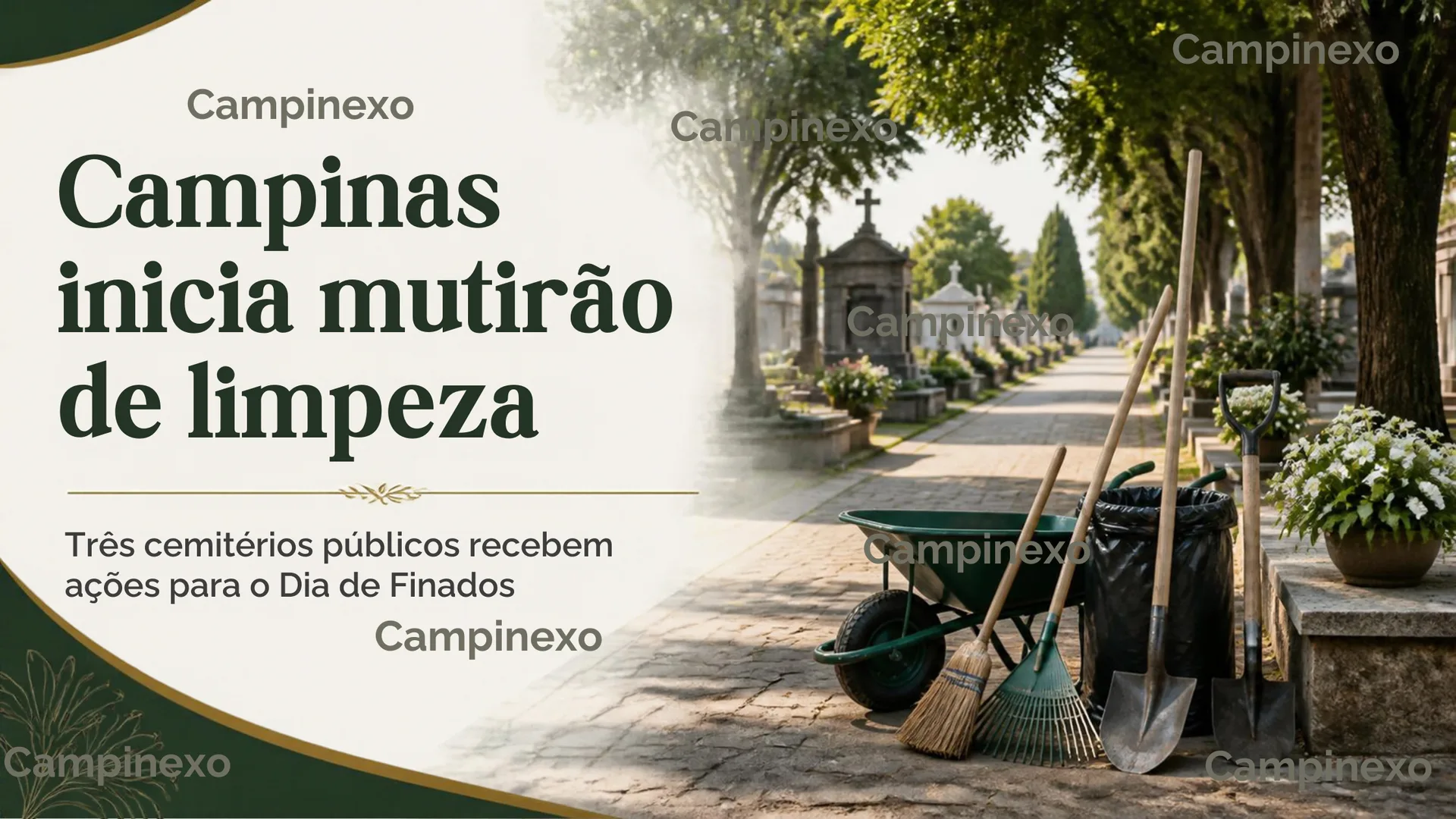 sobre o mutirão de limpeza nos três cemitérios públicos de Campinas